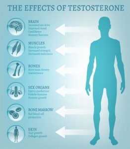 Testosterone Replacement